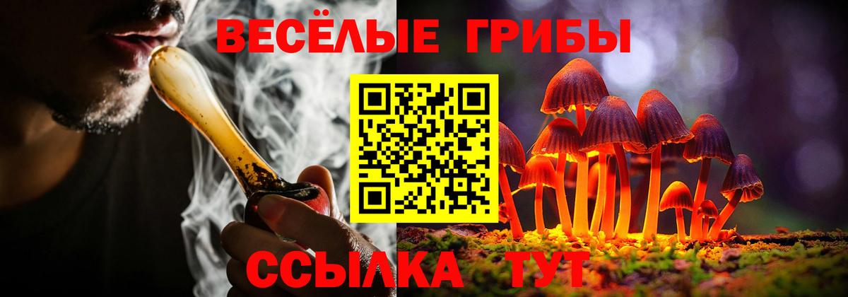 Псилоцибиновые грибы MAGIC MUSHROOMS  Вход с VPN  Нурлат 